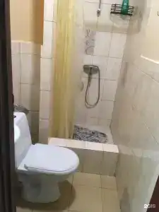 Цитрус - 21
