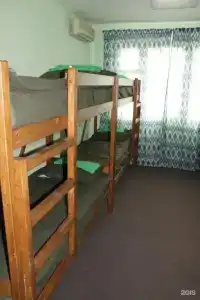Фикус - 5