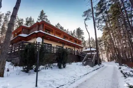 Донской лес - 13