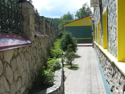 Старые друзья - 7