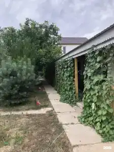 Клёвый хуторок - 22