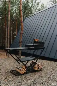 Хвоя - 10