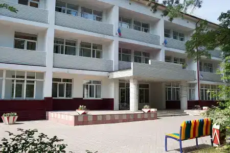 Кедровый бор - 0