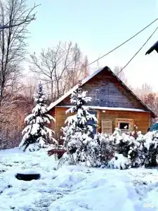 Изба на Опушке - Хутор Пралище - 152