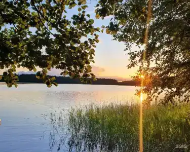 Крушинов Рог - 29