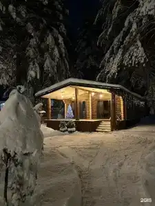 Wood palace - 74
