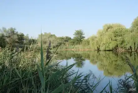 Пруд Пруди - 51