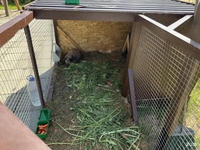 PavLove Village - 198