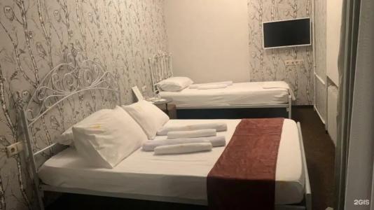 Сова на Академической - 117