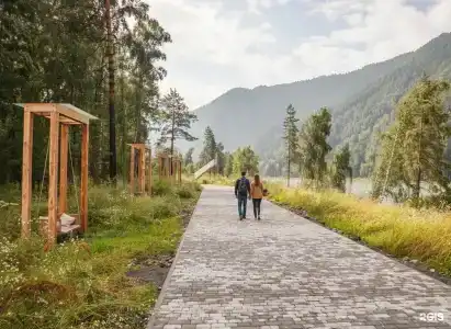 Pinewood resort & SPA - 110