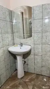 Дельфин2 - 37
