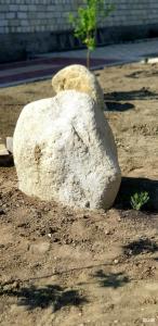 Зеленый дом - 34