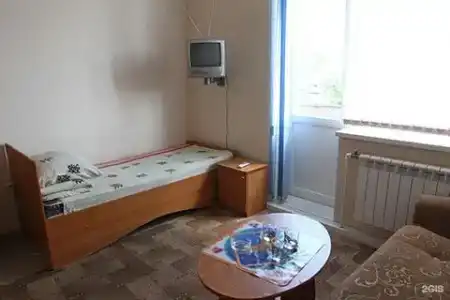 Медведь - 50