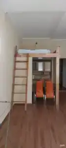 Диоскурия - 23