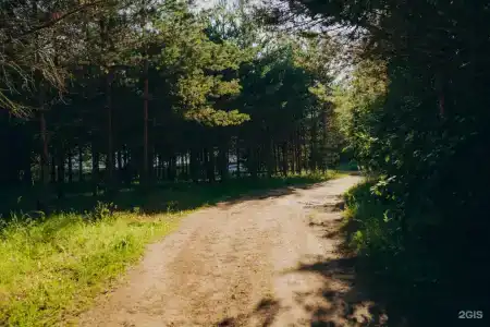 Торополис - 77