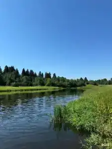 В гостях у Знахаря - 12