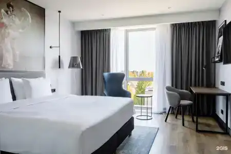 Radisson Blu Hotel - 22