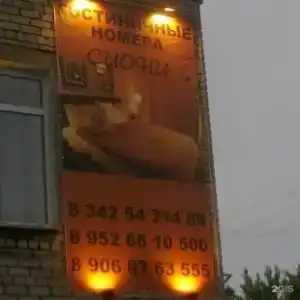 Сиони - 4