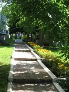 Старые друзья - 3