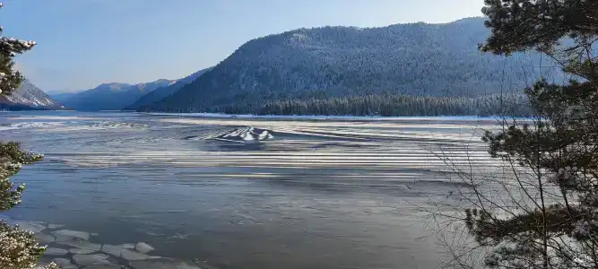 Елань - 78