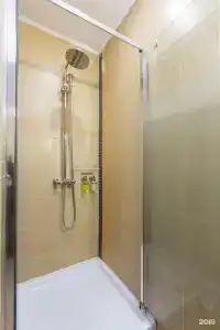 Ананас - 8