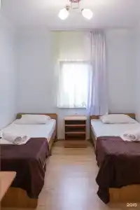 Киви и Цитрус - 82