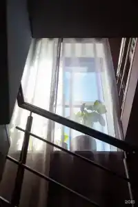 Светлый - 120