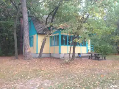 Сосновый бор - 5