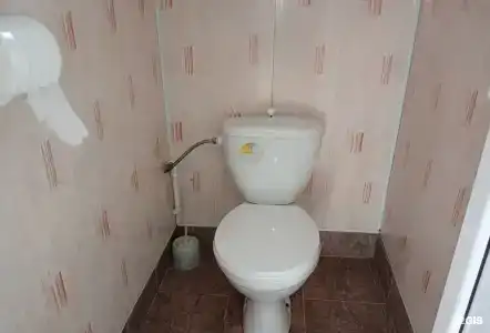 Сакура - 87