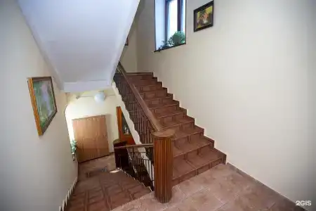 Гризли - 6