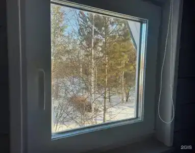 Свобода леса - 29