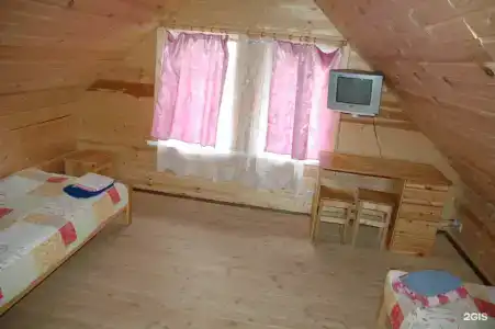 Шишки - 69