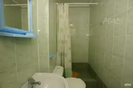Кедр - 16