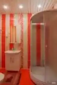 Ирис - 6