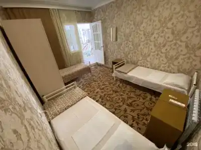 Виват - 12