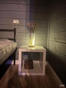 Тишь - 25