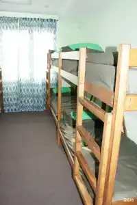 Фикус - 6