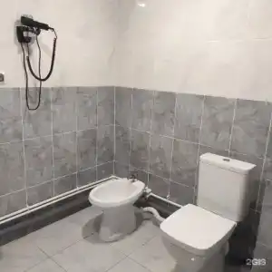 Ока - 31