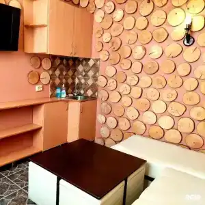 Свирь - 12