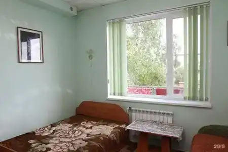 Медведь - 57