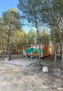 Кукушка - 10