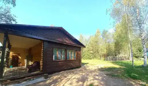 На опушке леса - 15