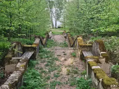 Гармония - 39