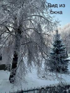 Любава - 84