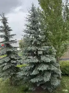 Нур - 8