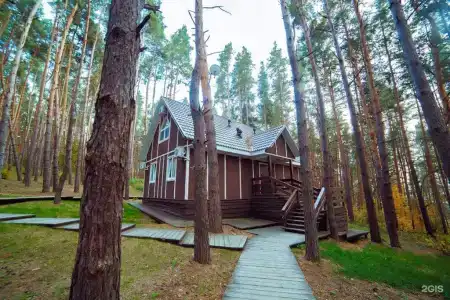 Донской лес - 60