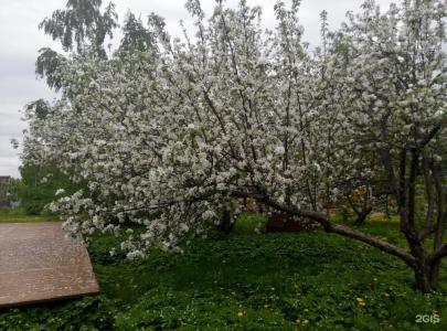 Гостевой дом на Волге в Соболево - 19