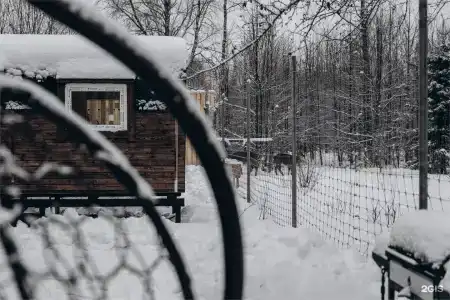 Кроличья нора - 289