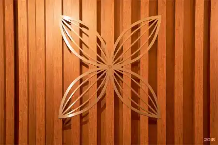 X-Clinic - 3