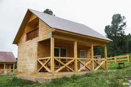 Золотой Кедр - 169